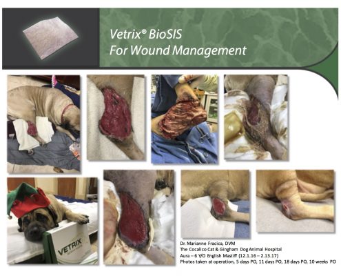 BioSIS Wound Care Pro Tips